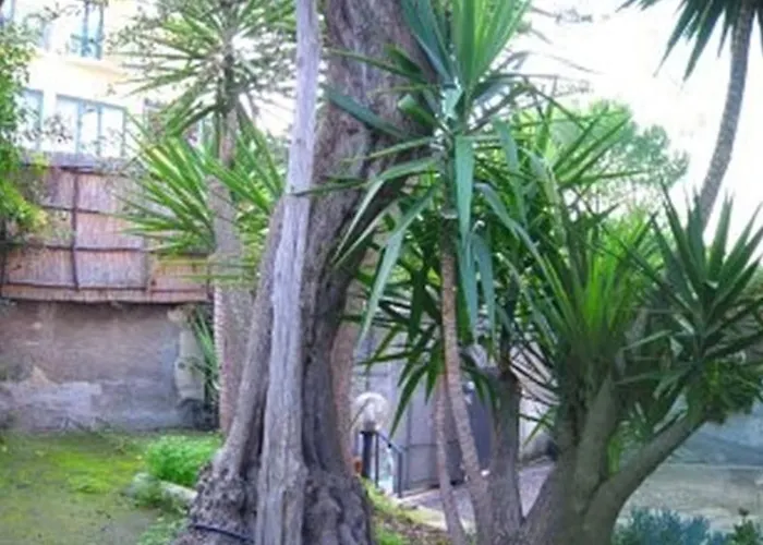 Orchidea Aparthotel Sorrent