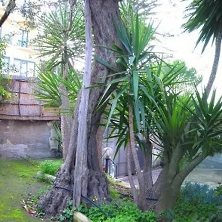 Orchidea Apartmanhotel Sorrento